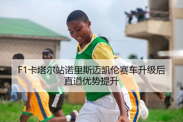 F1卡塔尔站诺里斯迈凯伦赛车升级后直道优势提升