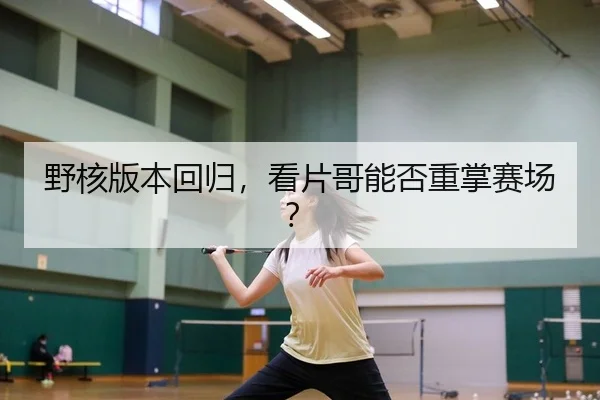 野核版本回归，看片哥能否重掌赛场？